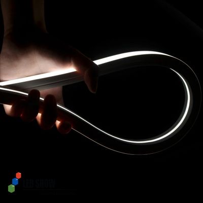 Outdoor silicone neon lights,Neon lighting fixtures,Neon light art,Neon light decoration