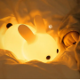 Smart Bunny Night Lamp with Remote