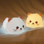 Remote Control Bedroom Night Light